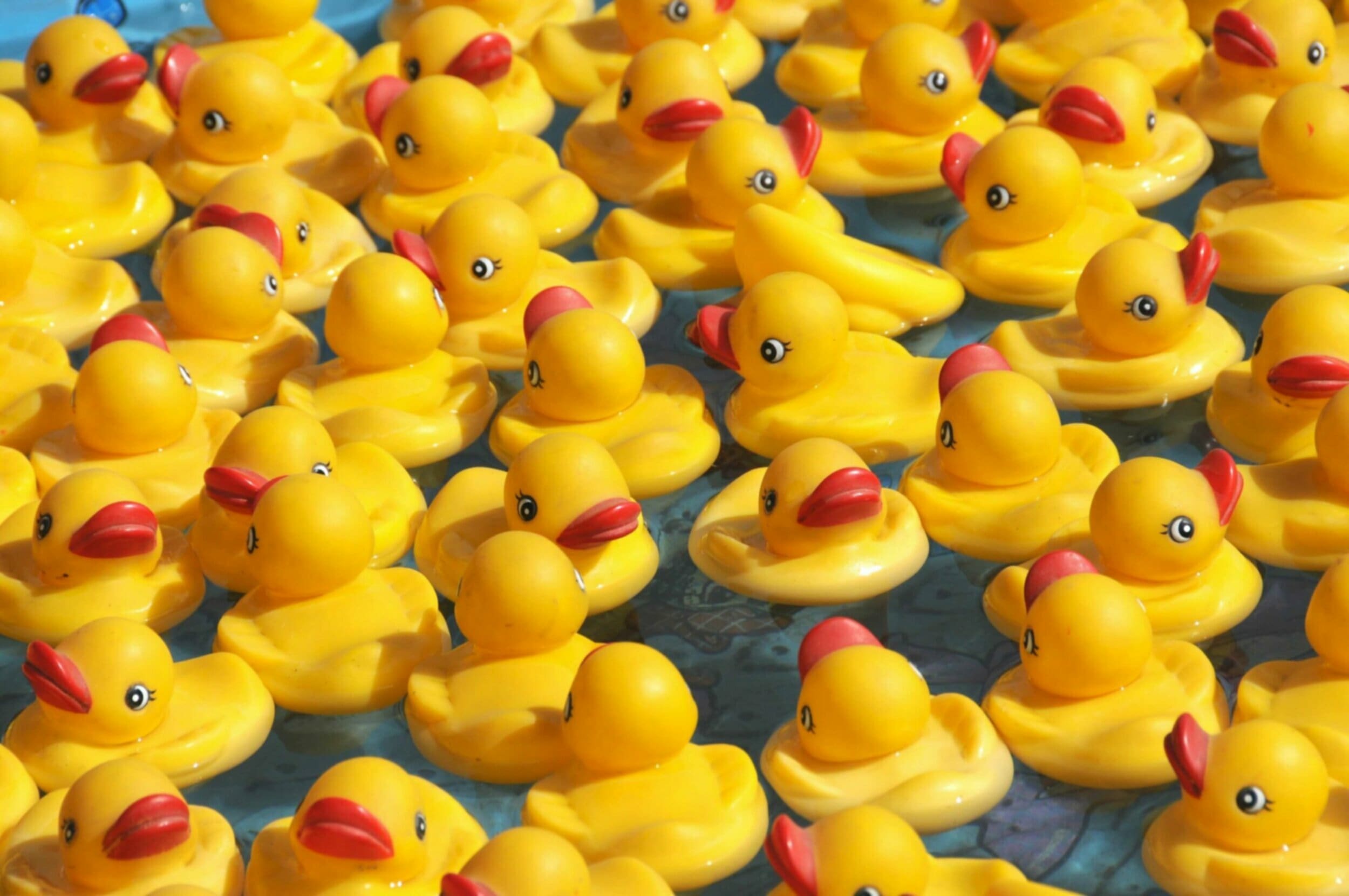 Rubber Ducks Party Favour 18 Pack Yellow | atelier-yuwa.ciao.jp