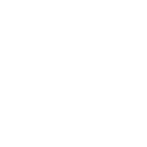 Mobile Icon