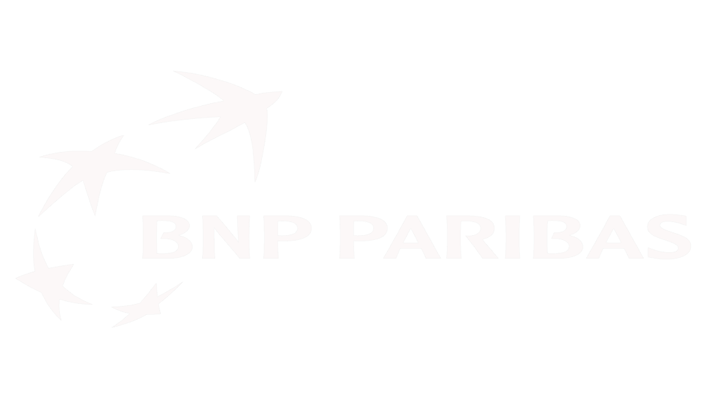 bnp white logo