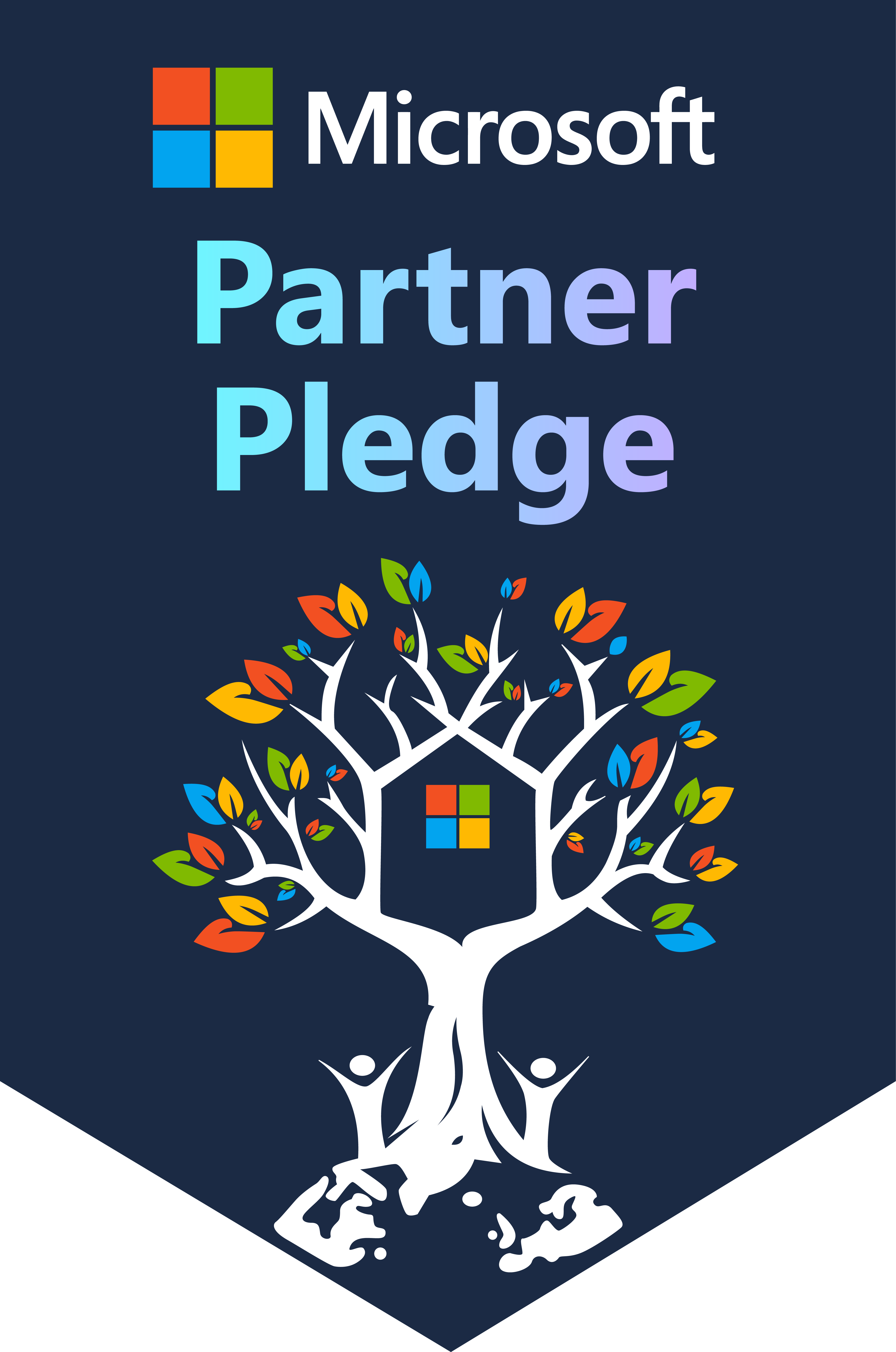 MS partner