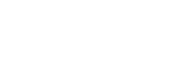 Somerset Council